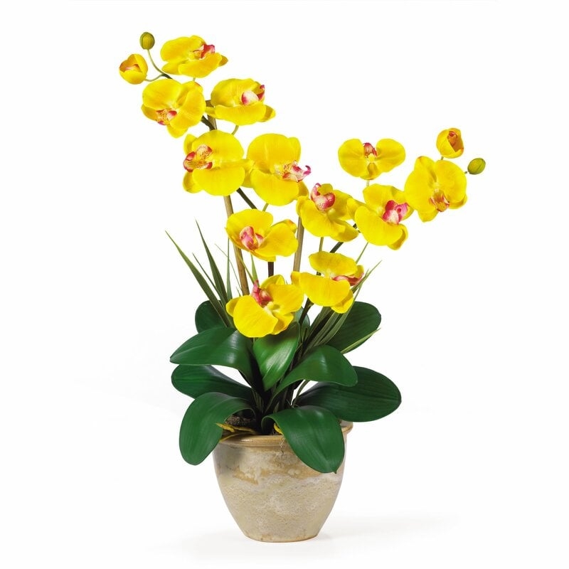 Double Phalaenopsis Silk Orchids Floral Arrangement in Pot - Image 0