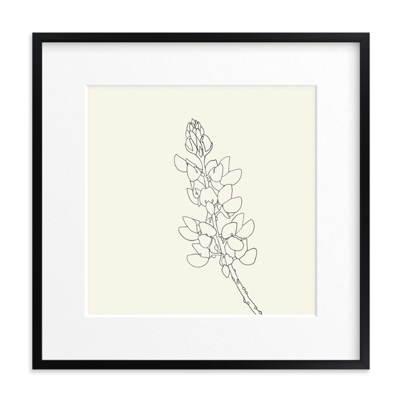 Lupine - 24" x 24", Rich Black Wood Frame, Matted - Image 0
