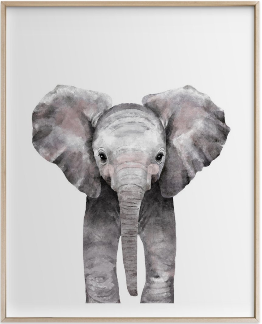 baby animal elephant - Image 0