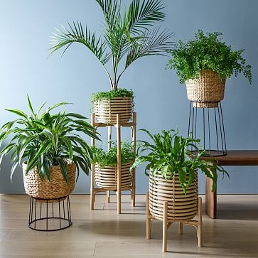 Hilo Basket Planter, Large - Image 5