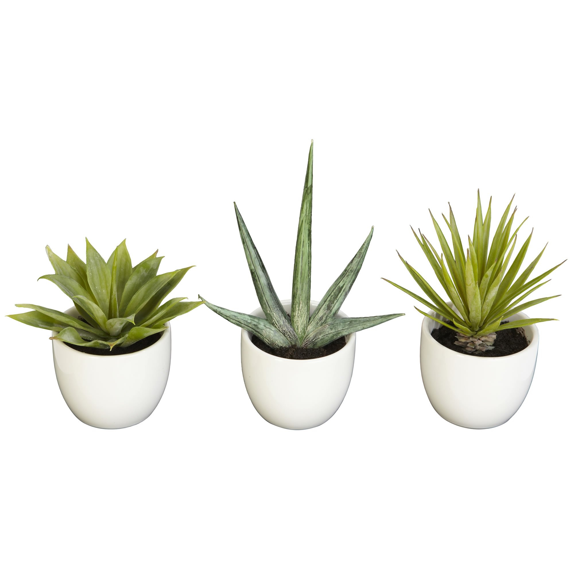 Faux Potted Succulent Collection, Set of 3 - Image 0