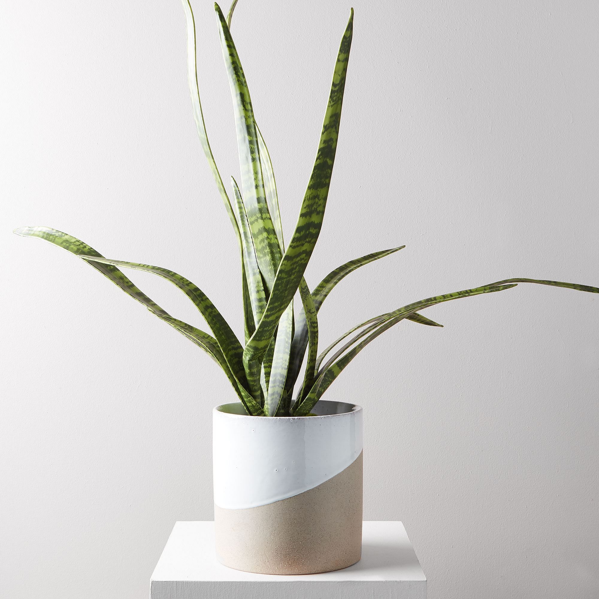 Faux Potted Snake Plant - Image 3