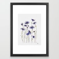 Blue Cornflowers, Illustration Framed Art Print - Image 0