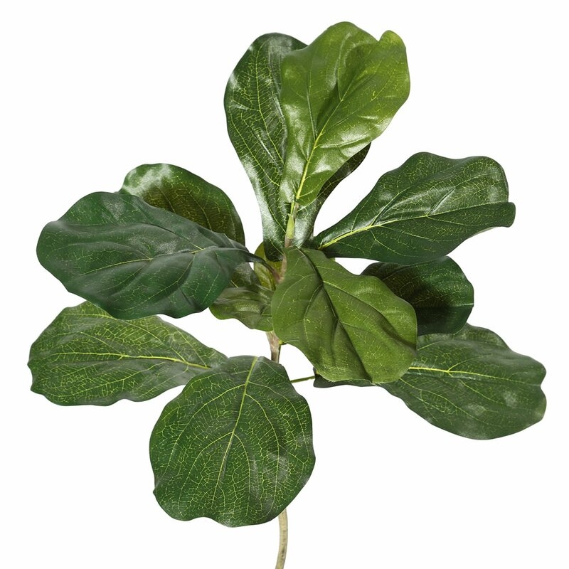 Floor Fiddle Leaf Fig Tree in Pot - Image 4