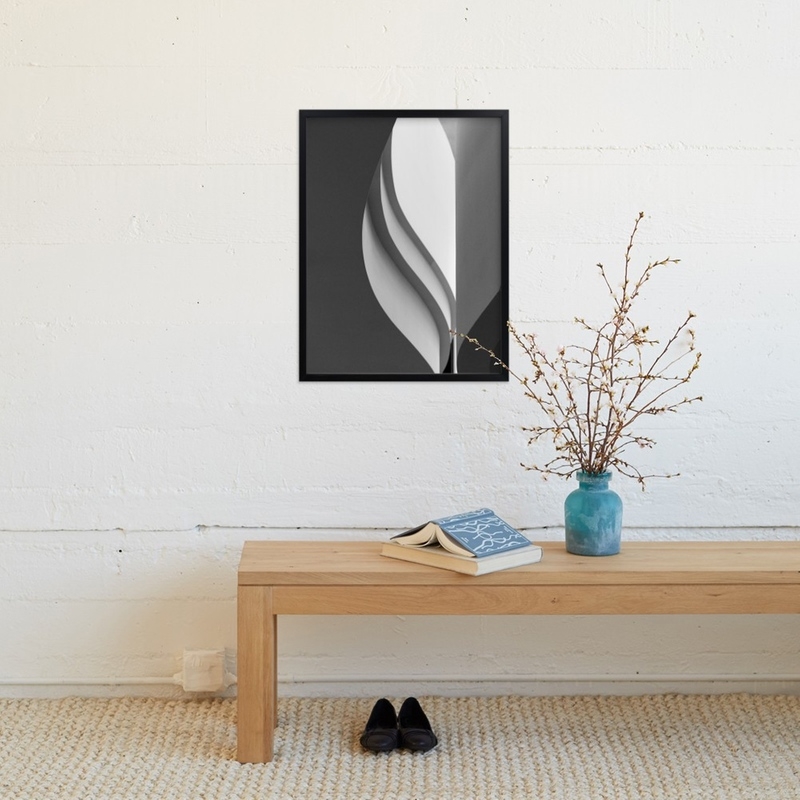 Tulip- Black and White - Image 1