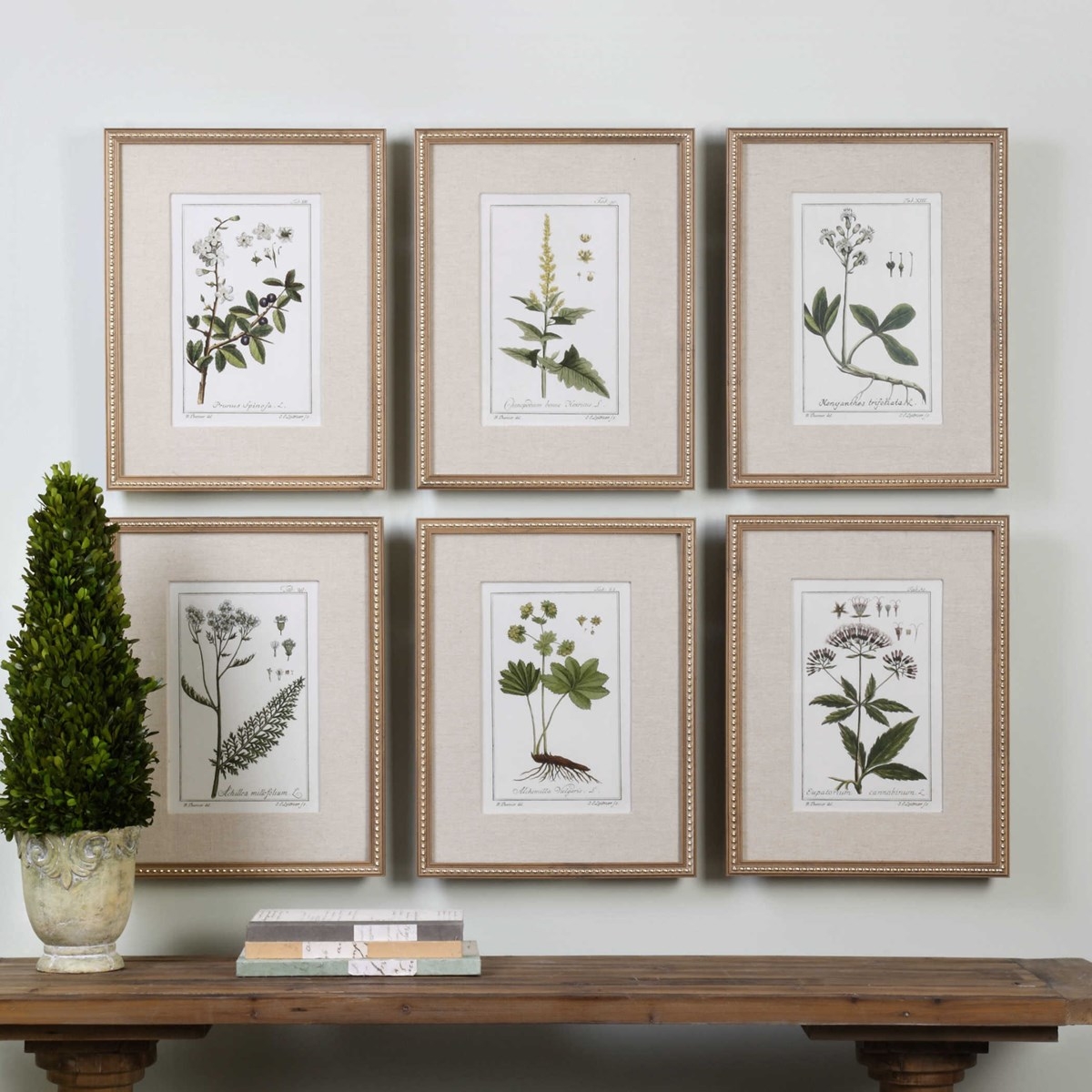 Green Floral Botanical Study Prints S/6 - Image 1