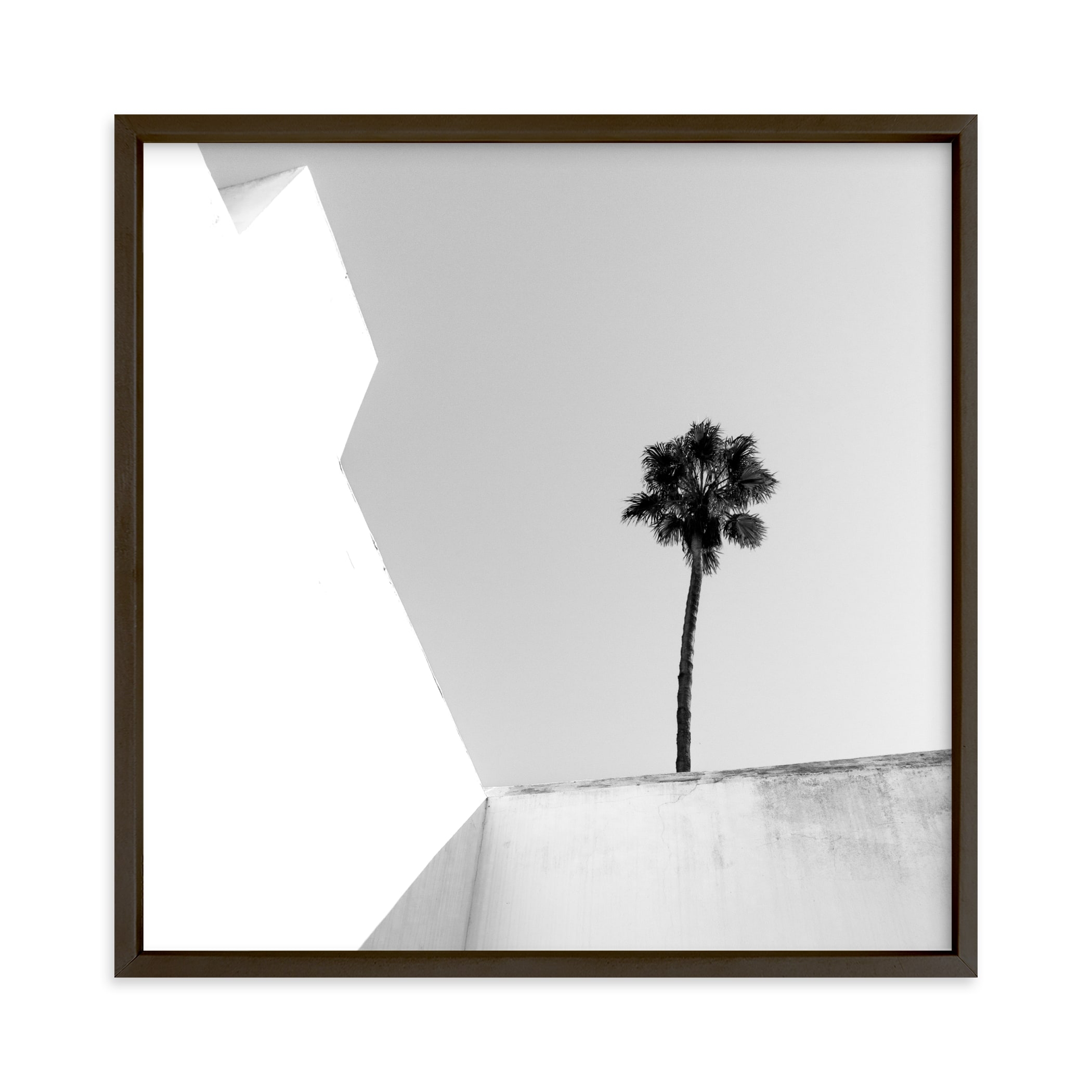 Structured Palm - framed print - Image 0