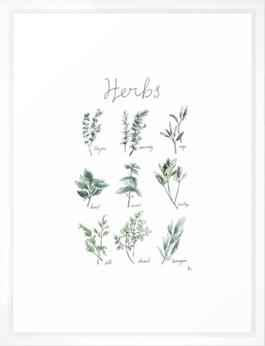 Herbs Botanical Illustration Framed Art Print - 20x26" - vector white frame - Image 0