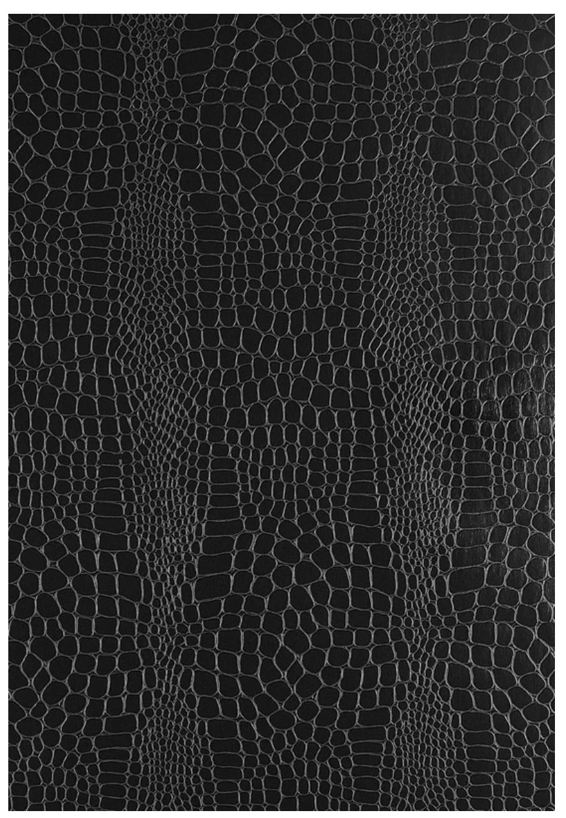 Crocodile 3D Embossed 15' L x 27" W Wallpaper Roll, Black, 2 Roll Set - Image 0