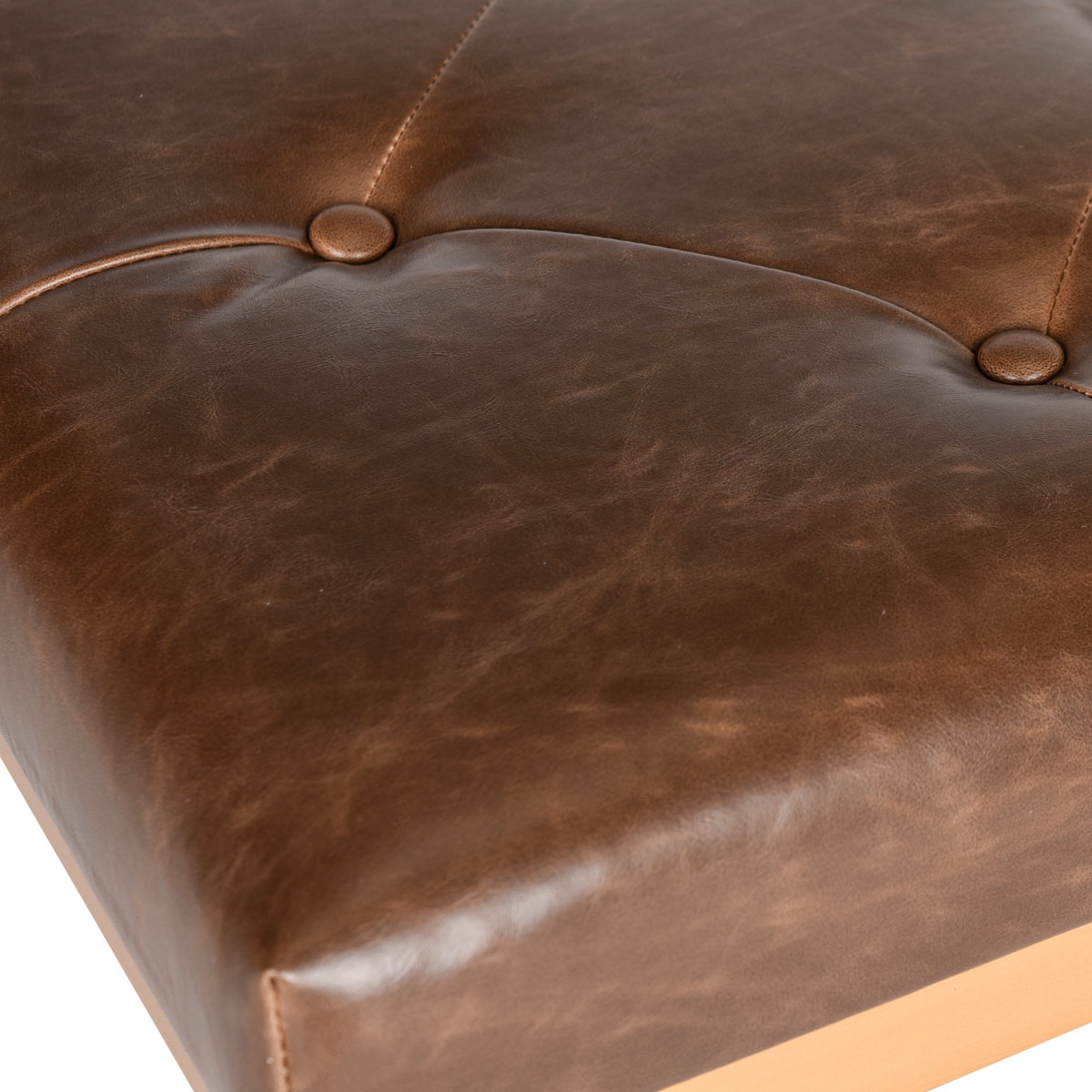 Marcella Bench - Brown/Gold - Arlo Home - Image 3