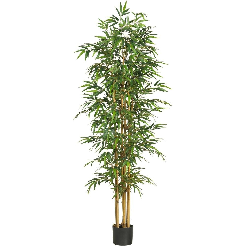 75" Bamboo Silk Tree - Image 0