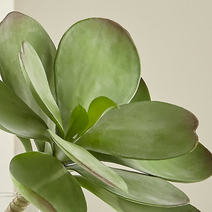 Artificial Dusty Paddle Artificial Kalanchoe - Image 0