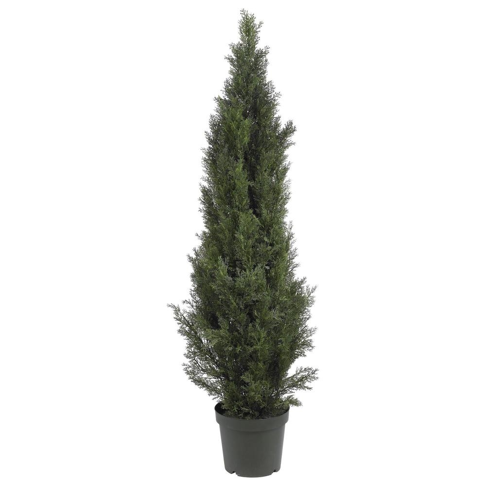 5' Mini Cedar Pine Tree - Image 0