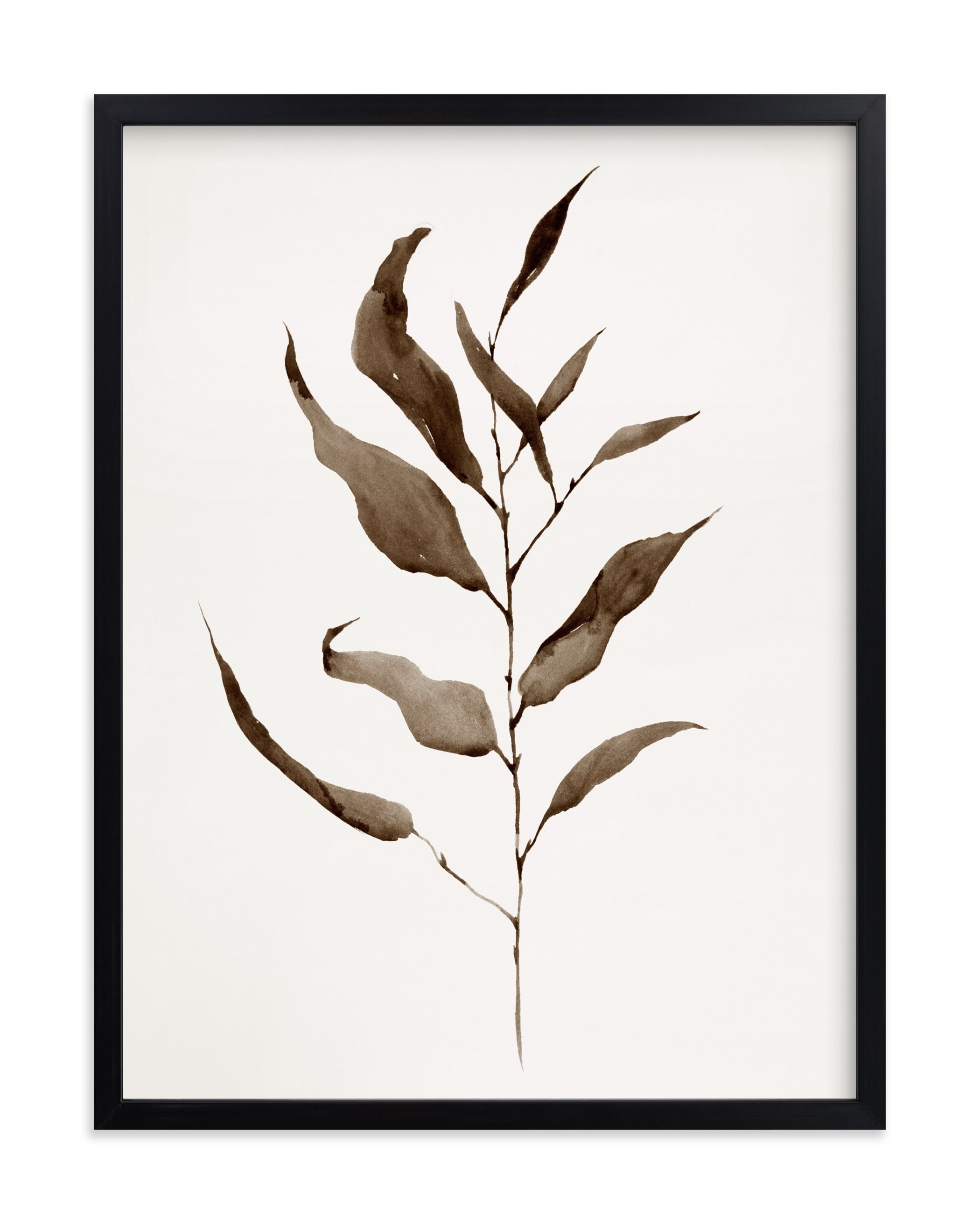 Eucalyptus Foliage  18" x 24" Rich Black Wood Frame- Eucalyptus Vintage - Image 0