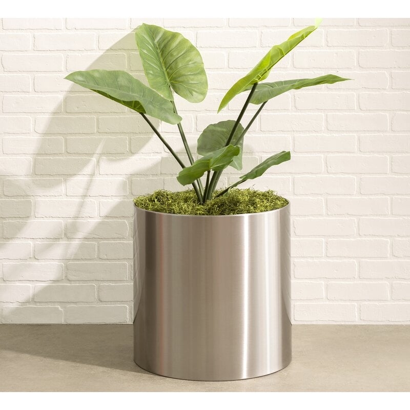 Stainless Steel Pot Planter - Image 0