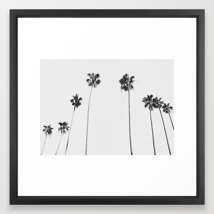 Black & White Palms Framed Art Print - Image 0