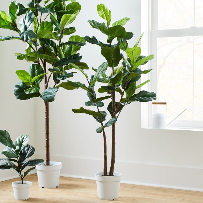 Faux Potted Dual Fiddle Leaf Fig Tree - Image 0