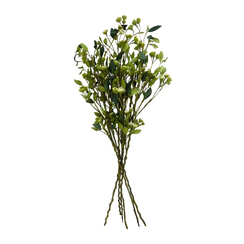 Branches Mixed Stem (Set of 6) - Image 0