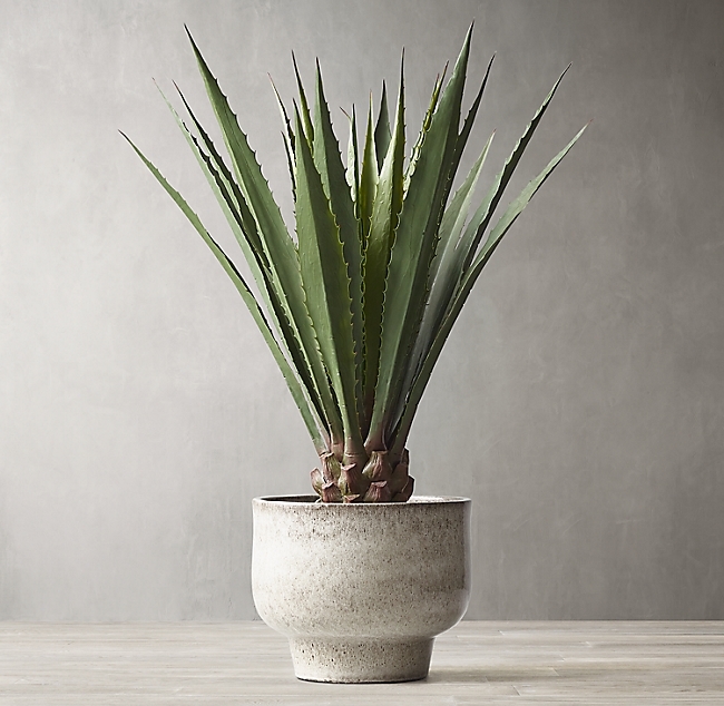 GRAND FAUX AGAVE AMERICANA - Image 0