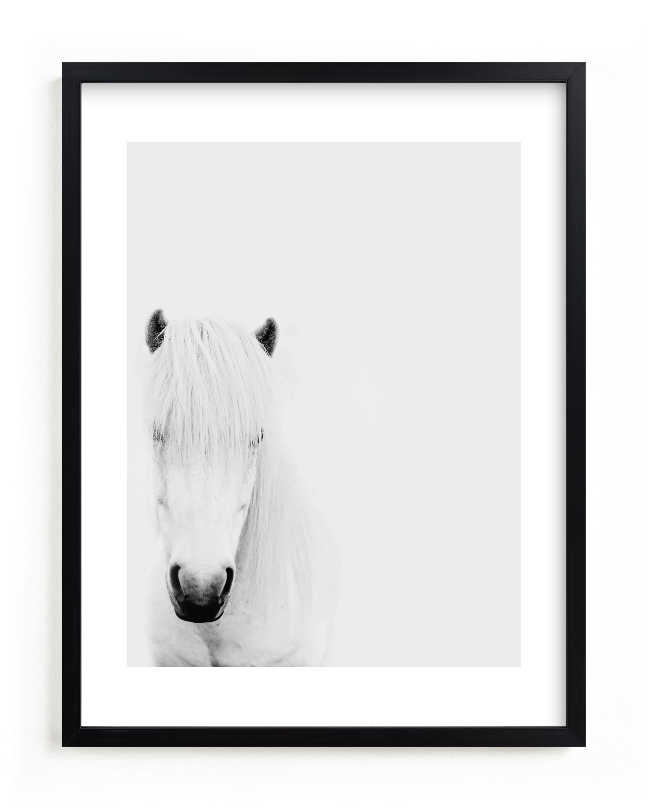 Dalla Framed White Horse - Image 1