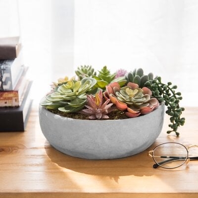 4.8'' Faux Succulent in Cement Pot - Image 0
