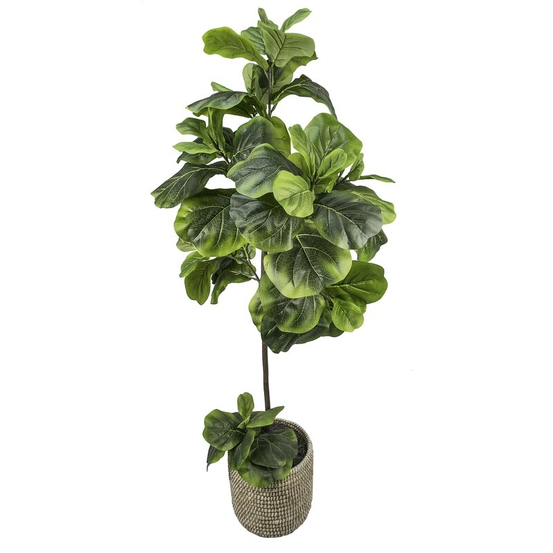 60'' Artificial Fiddle Leaf Fig Tree in Basket - Image 0