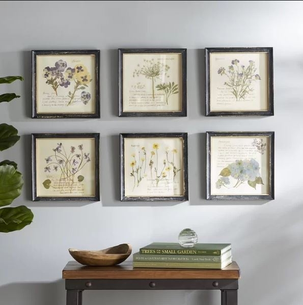 Floral Images - 6 Piece Picture Frame Graphic Art Print Set - Image 0