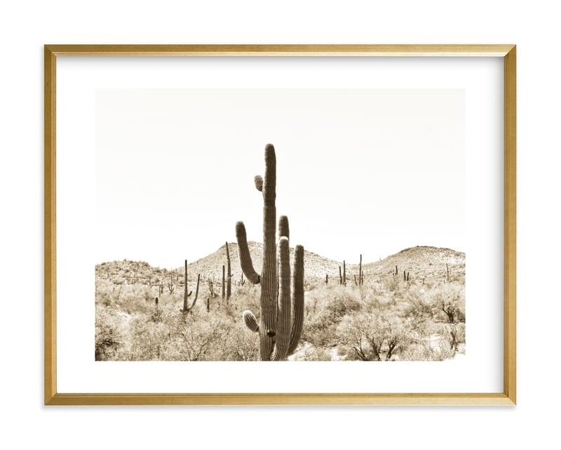 Cacti V Limited Edition Fine Art Print 1 - Image 0