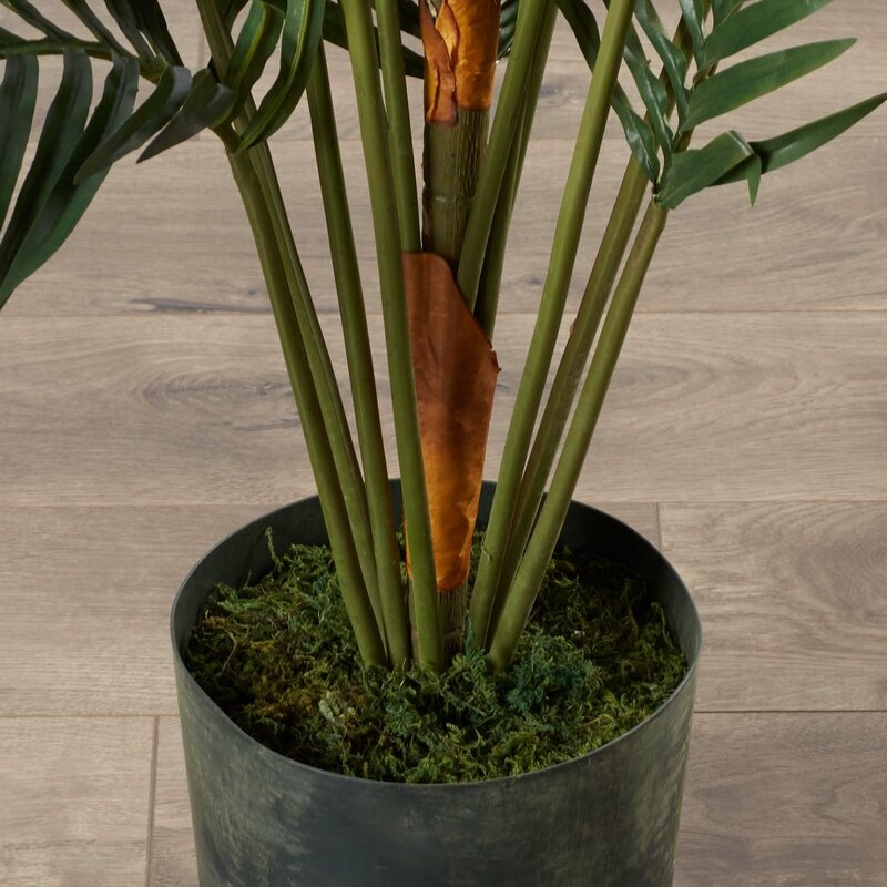 77'' Paradise Palm Tree in Pot - Image 1