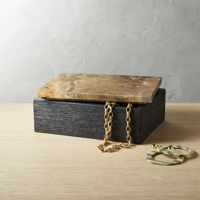 Petrified Wood Box - Image 1
