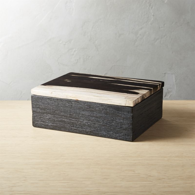 Petrified Wood Box - Image 2