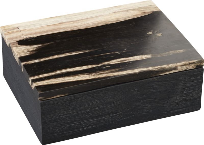 Petrified Wood Box - Image 4