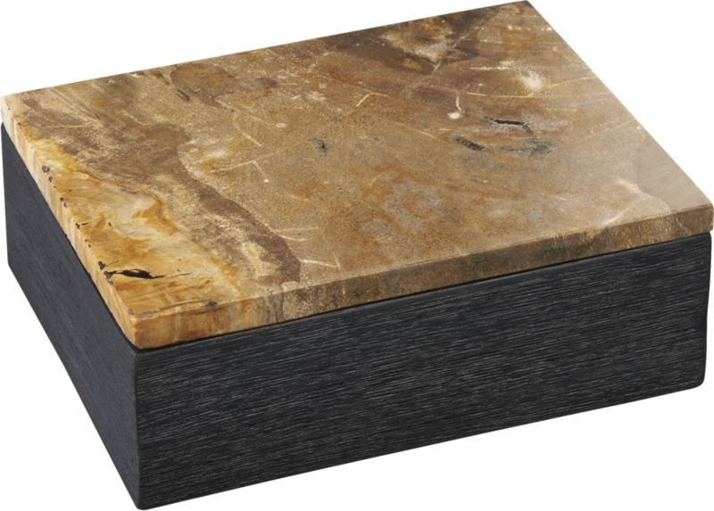 Petrified Wood Box - Image 5