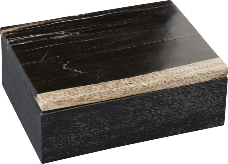 Petrified Wood Box - Image 6