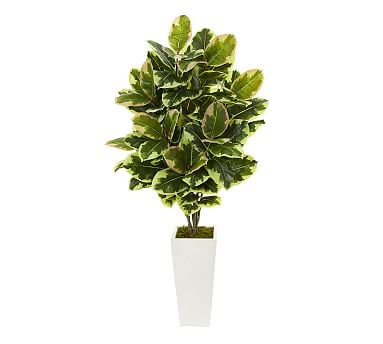 Faux Potted Variegated Rubber Leaf Plant, White Tower Vase - Image 0