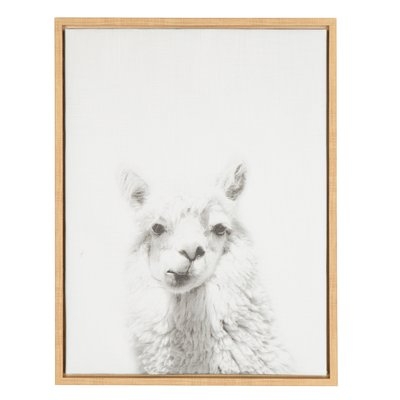 'Alpaca Black and White Portrait' Framed Drawing Print on Wrapped Canvas - Image 0