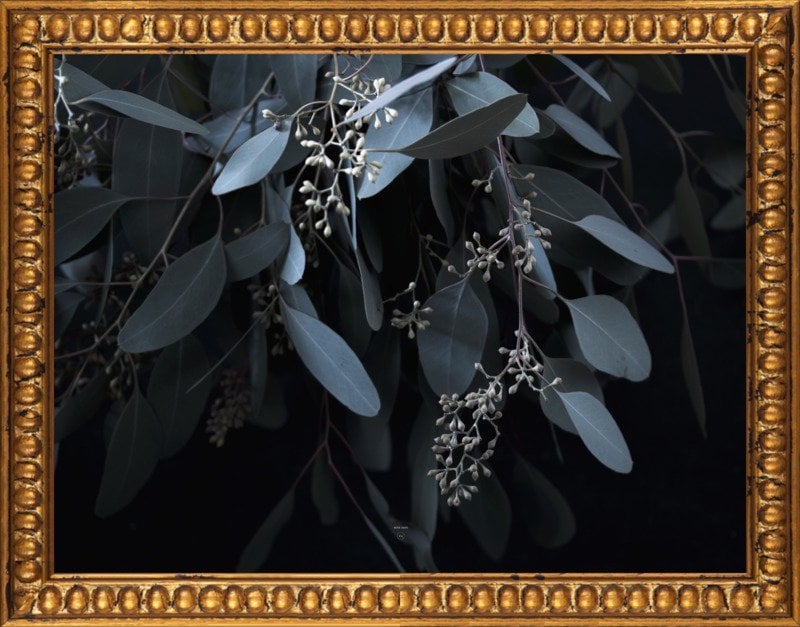 Miss Jade- 20x16"- Gold crackle bead wood frame, no matte - Image 0