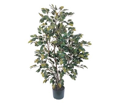 Faux Potted Ficus Tree - Image 1