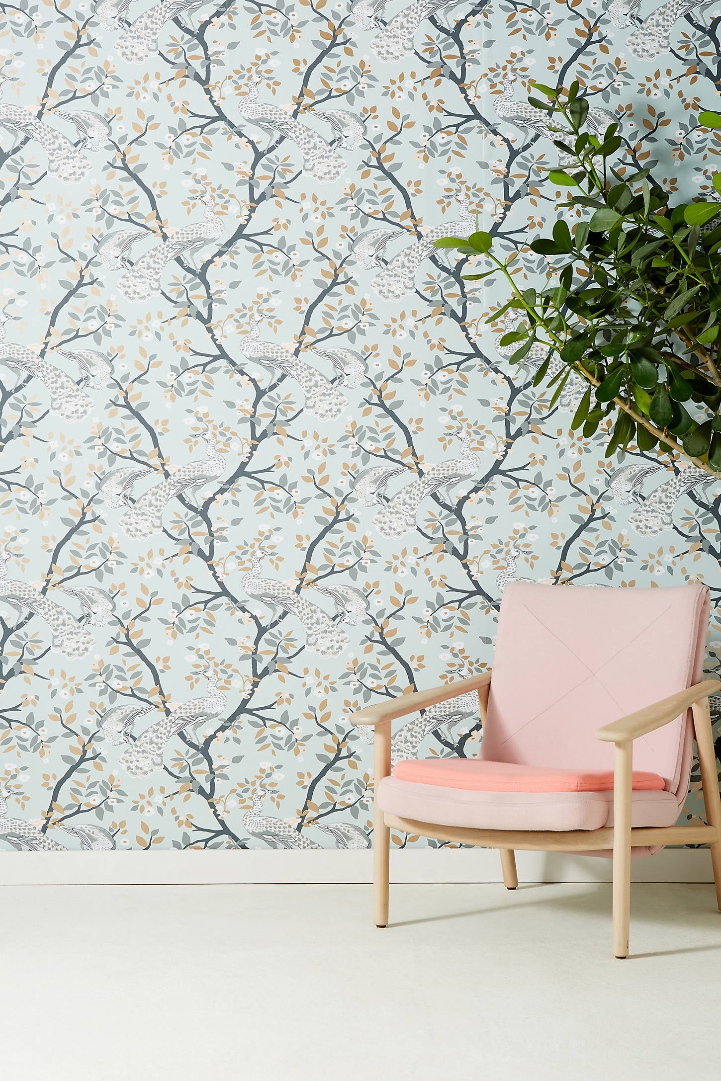 Pastel Plumage Wallpaper - Image 0