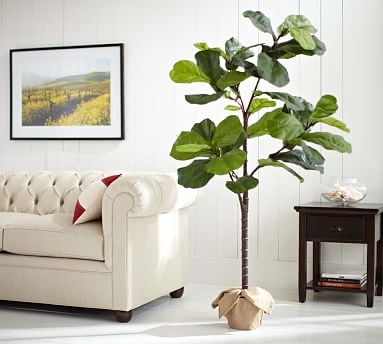 Faux Potted Fiddle Leaf Tree, Large, 7' - Image 1