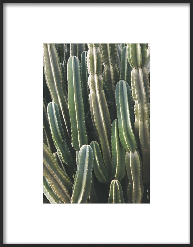 Southwest Cactus -10 x 14 - black frame, white mat - Image 0