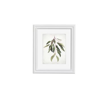 Eucalyptus Sprig Framed Print by Lupen Grainne, 13x11", Ridged Distressed Frame, White, Mat - Image 1