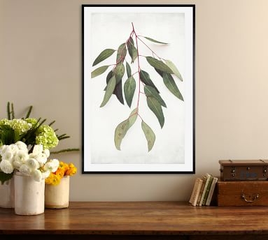 Eucalyptus Sprig Framed Print by Lupen Grainne, 13x11", Ridged Distressed Frame, White, Mat - Image 2