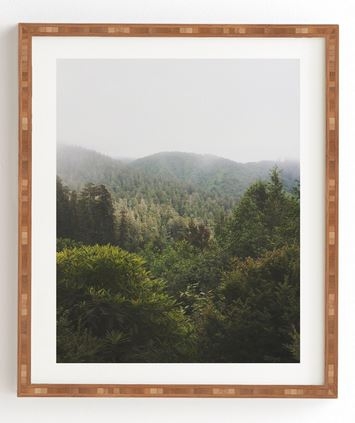  northern california redwood forest Framed Wall Art by catherine mcdonald 14 x16.5 - Image 0