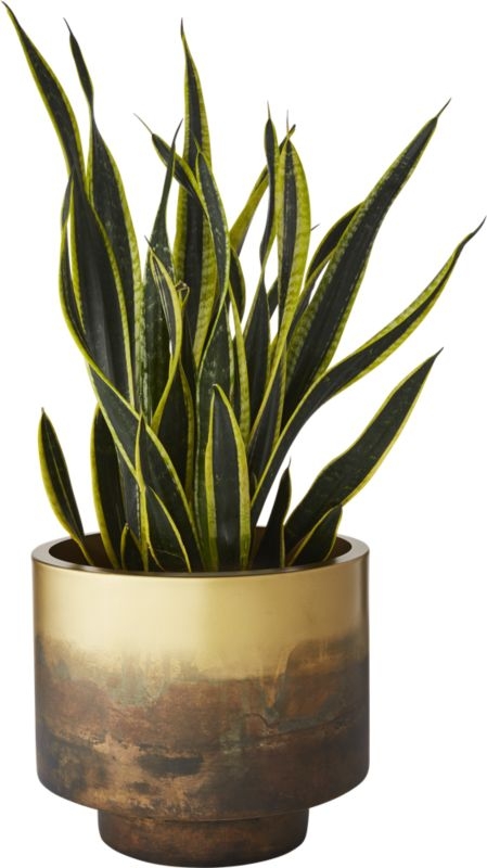 sahara brass planter - Image 5