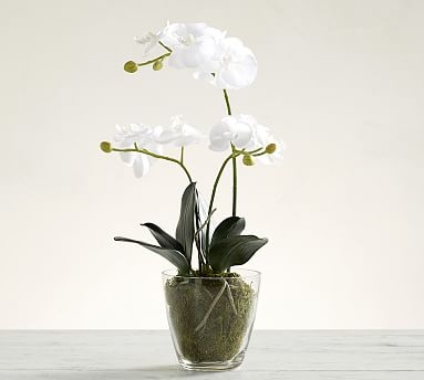 Faux Orchid in Glass Vase - Image 1