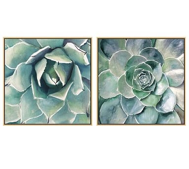 Garden Succulent Canvas, 28 x 28", Set of 2 - Image 1