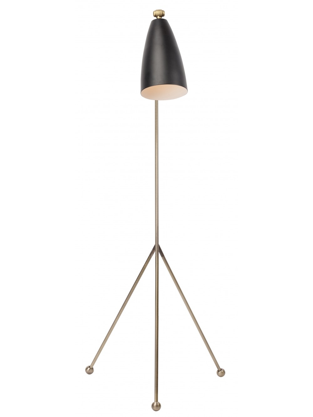 Shany Matte Black and Brass Floor Lamp - Image 1
