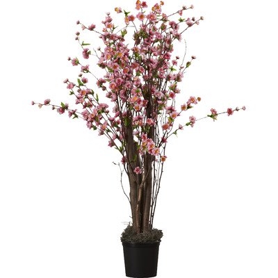 Blossom Tree in Pot - Image 0