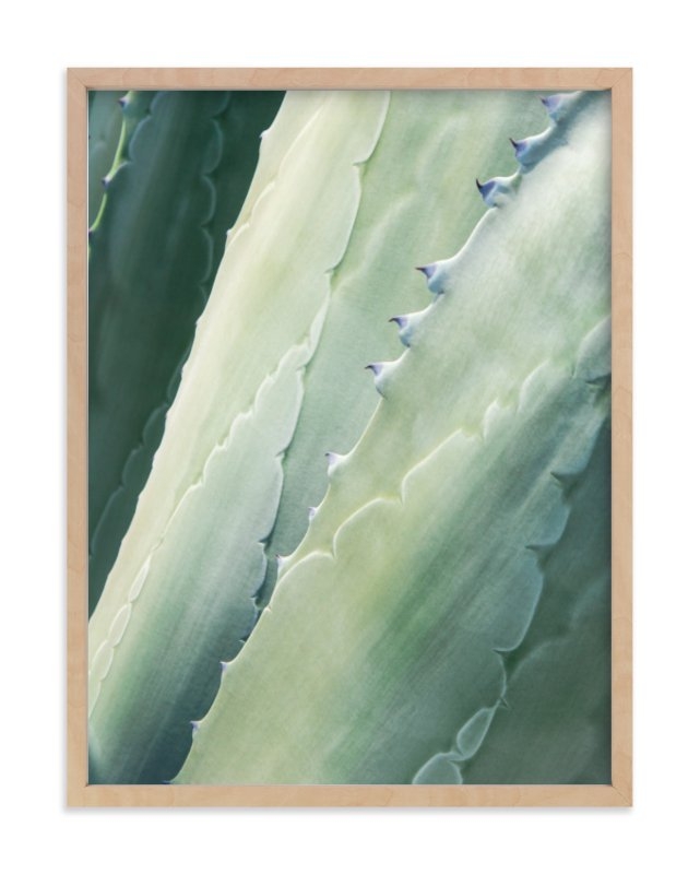 botanical ii, 18" x 24" Natural Raw Wood Frame - Image 0